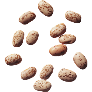 Kidney beans PNG-56888